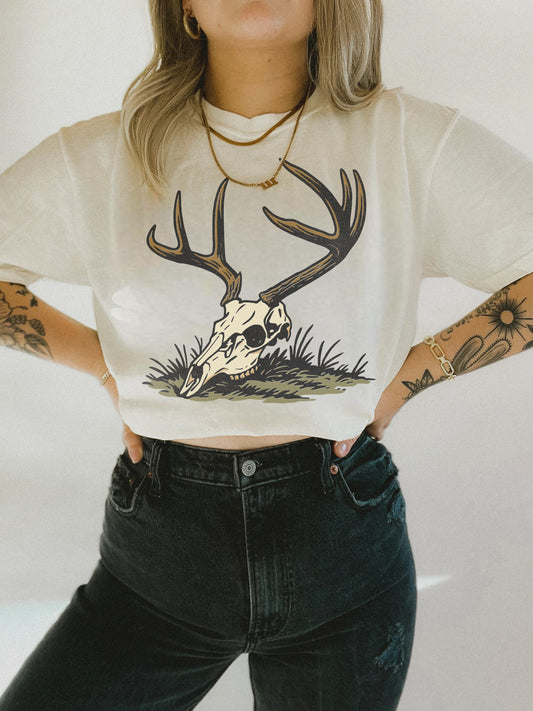Deer Skull